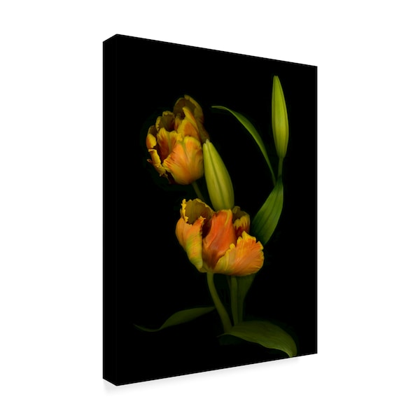 Susan S. Barmon 'Tulips 1' Canvas Art,24x32